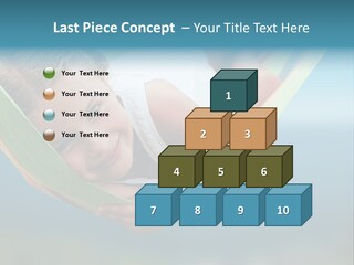Relax Sleeping Resort PowerPoint Template
