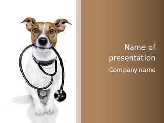 Terrier Sweet Pressure PowerPoint Template