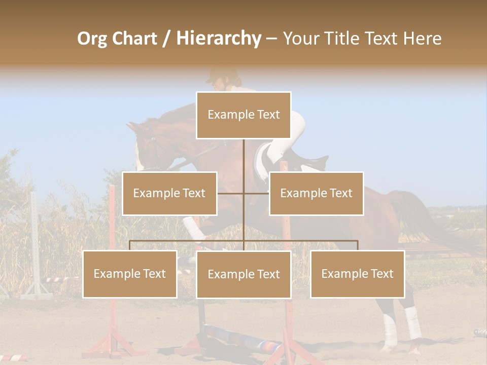 Training Woman Powerful PowerPoint Template