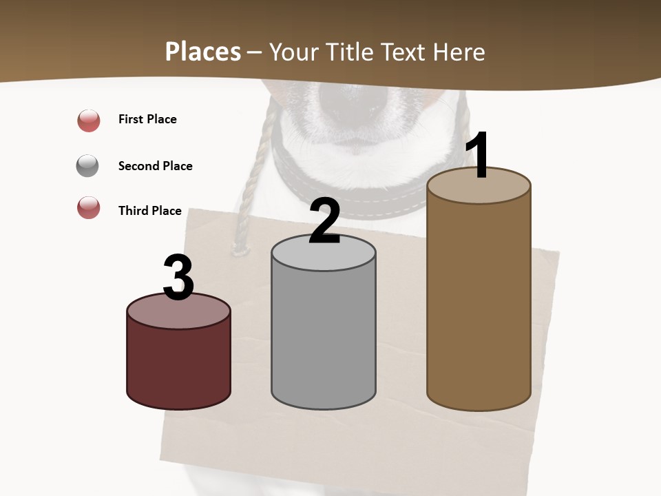 Brown Background Animal PowerPoint Template