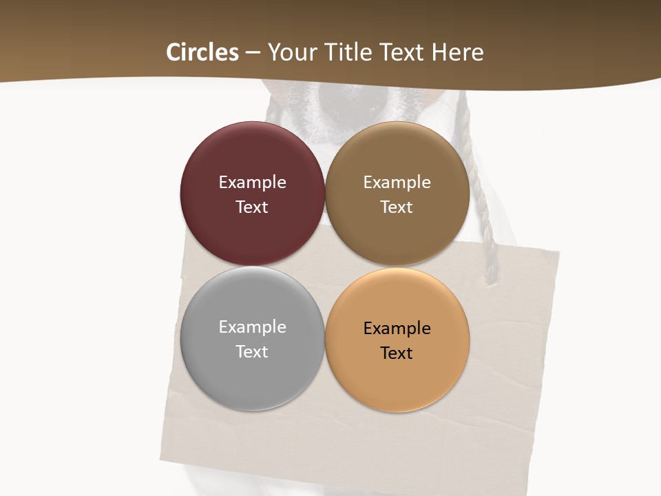 Brown Background Animal PowerPoint Template