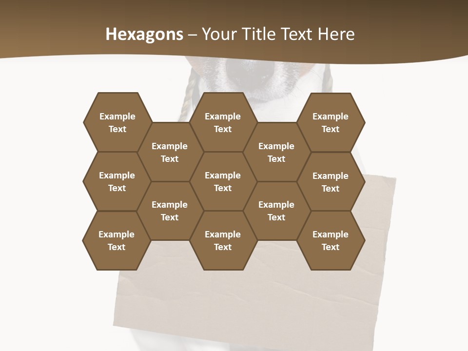 Brown Background Animal PowerPoint Template