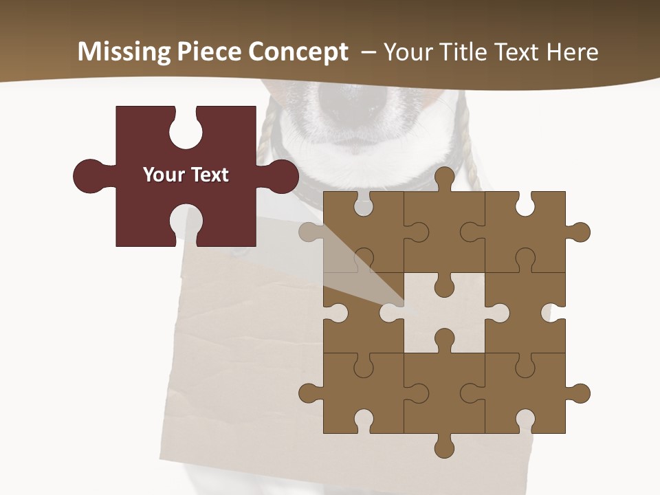 Brown Background Animal PowerPoint Template