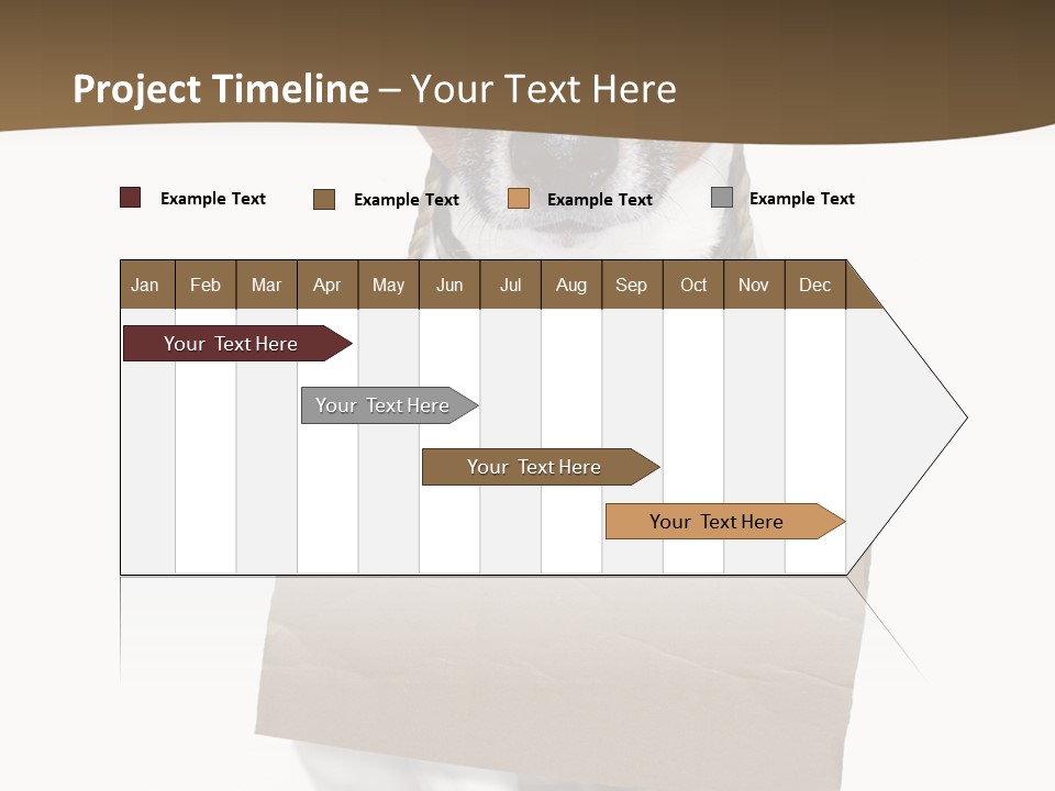 Brown Background Animal PowerPoint Template