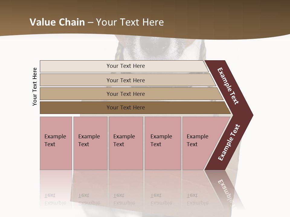 Brown Background Animal PowerPoint Template