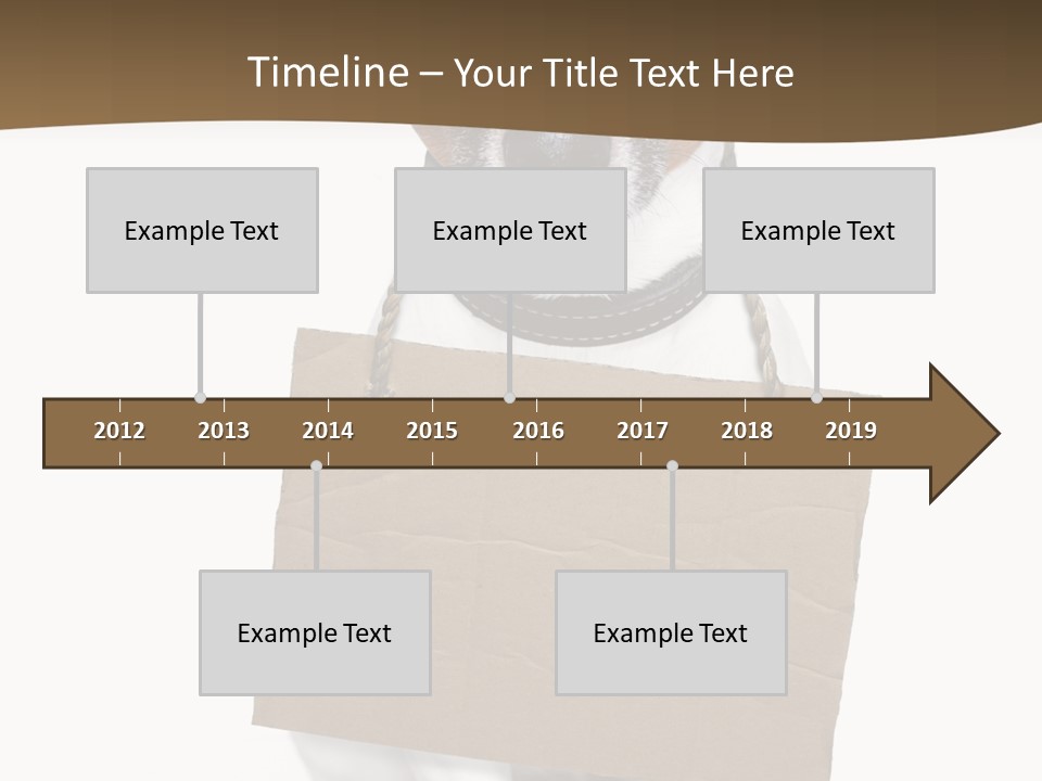 Brown Background Animal PowerPoint Template