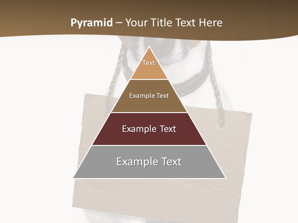 Brown Background Animal PowerPoint Template