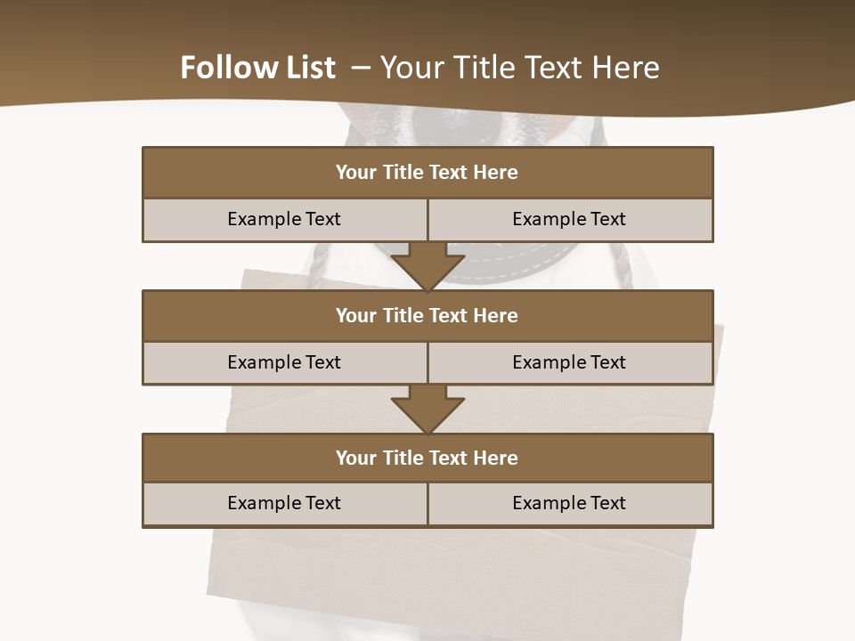 Brown Background Animal PowerPoint Template