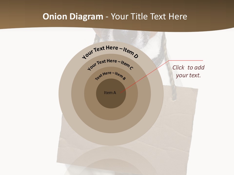 Brown Background Animal PowerPoint Template