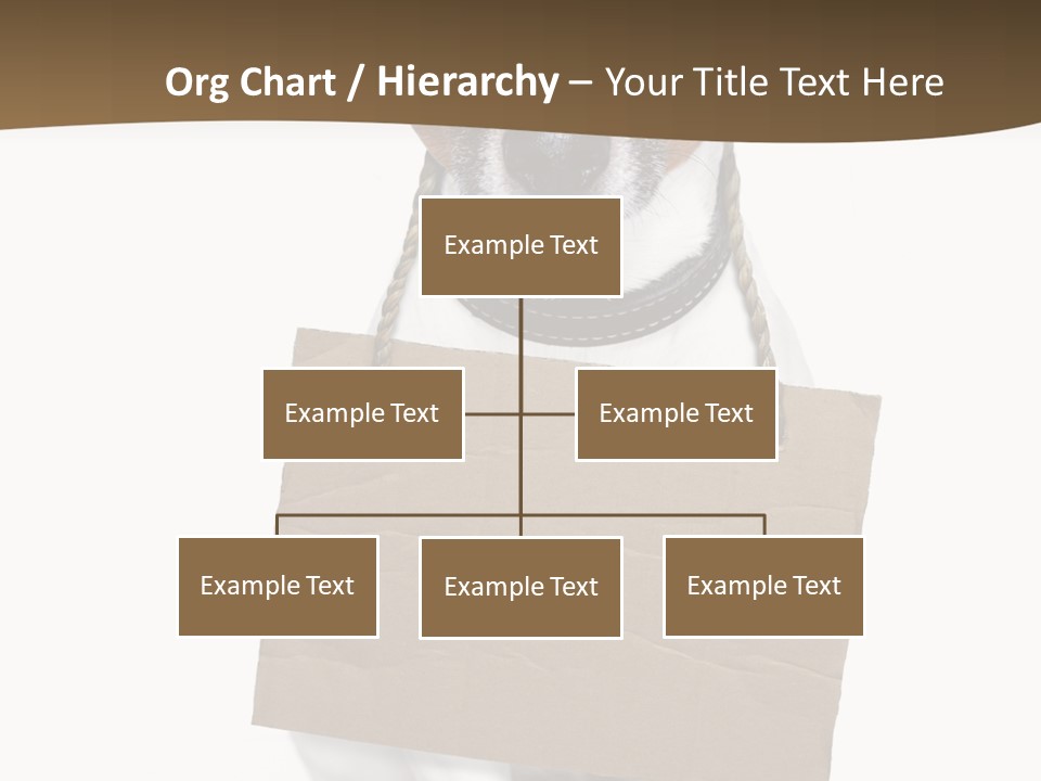 Brown Background Animal PowerPoint Template