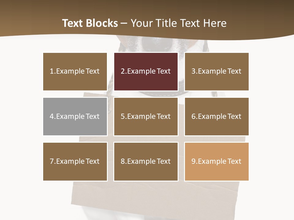 Brown Background Animal PowerPoint Template