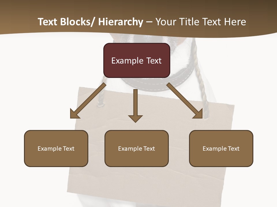 Brown Background Animal PowerPoint Template