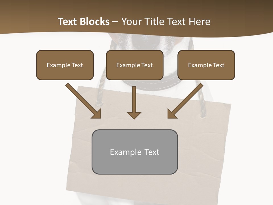 Brown Background Animal PowerPoint Template
