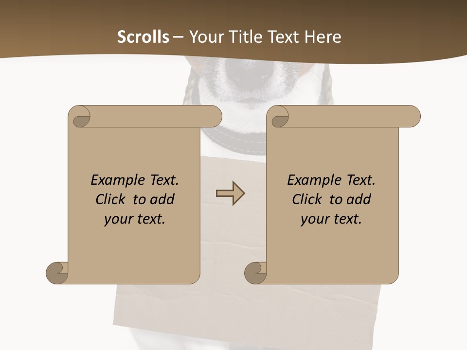 Brown Background Animal PowerPoint Template