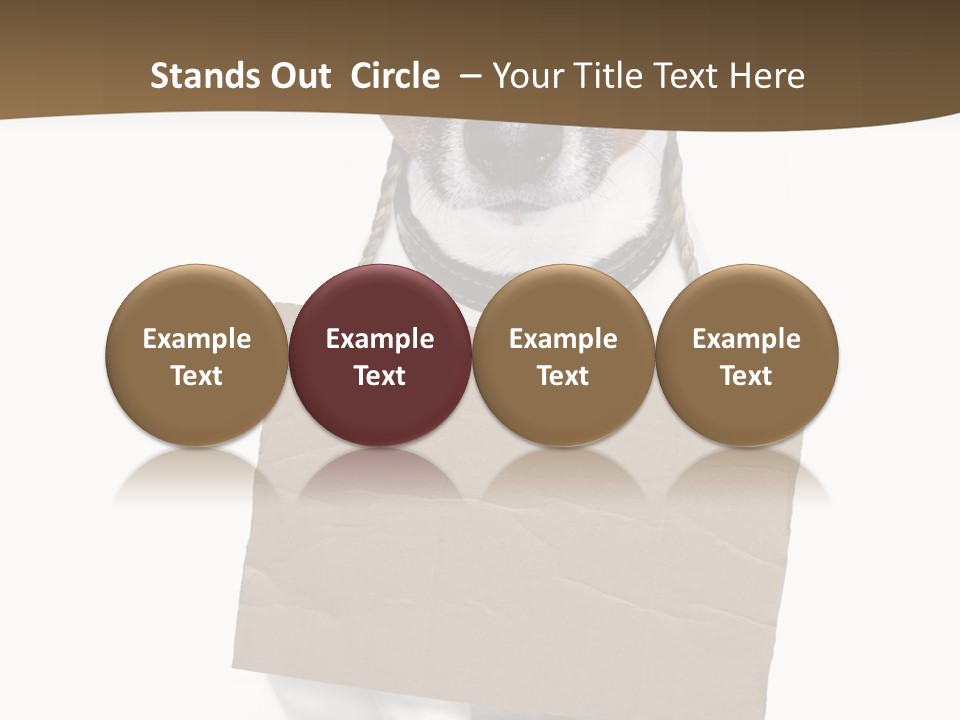 Brown Background Animal PowerPoint Template