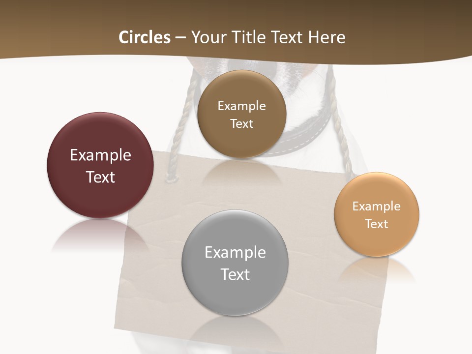 Brown Background Animal PowerPoint Template