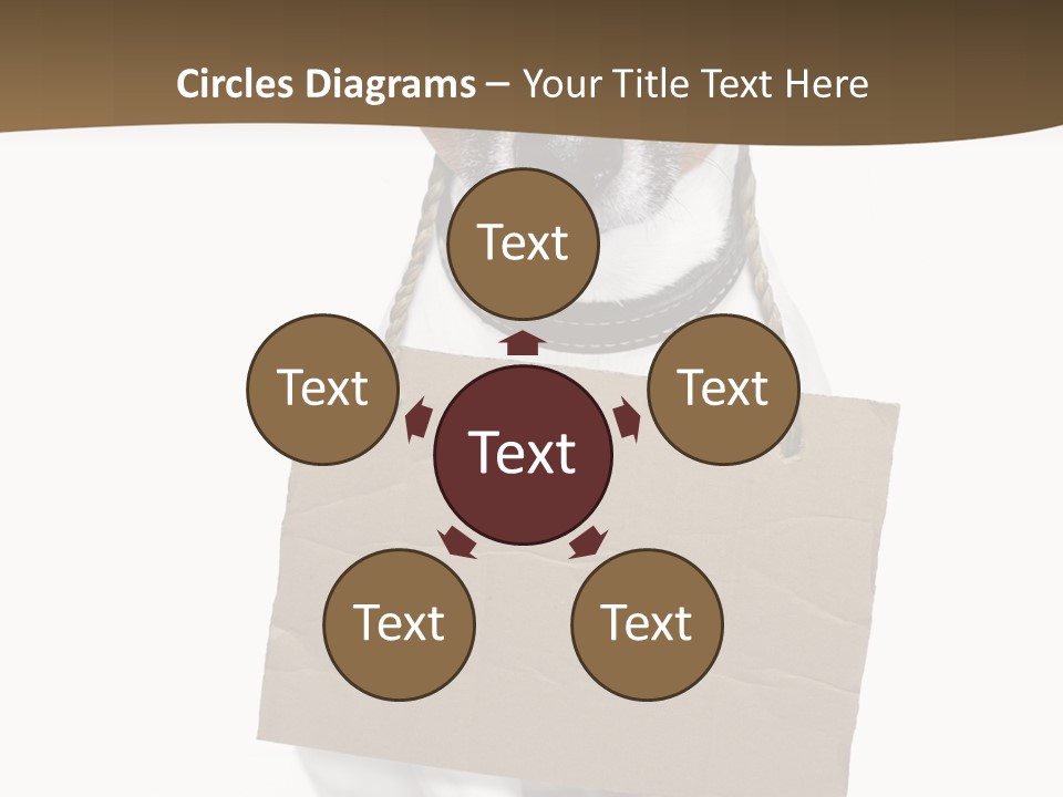 Brown Background Animal PowerPoint Template