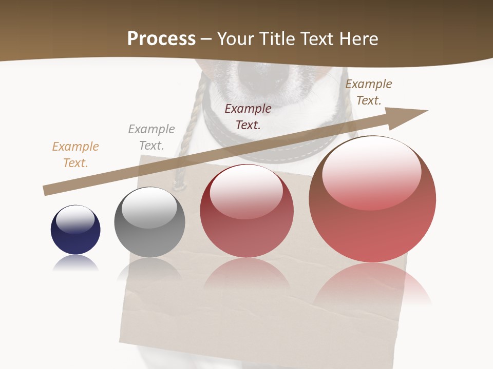 Brown Background Animal PowerPoint Template