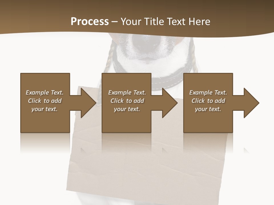 Brown Background Animal PowerPoint Template