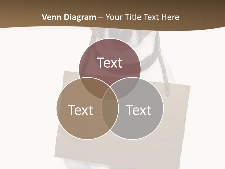 Brown Background Animal PowerPoint Template