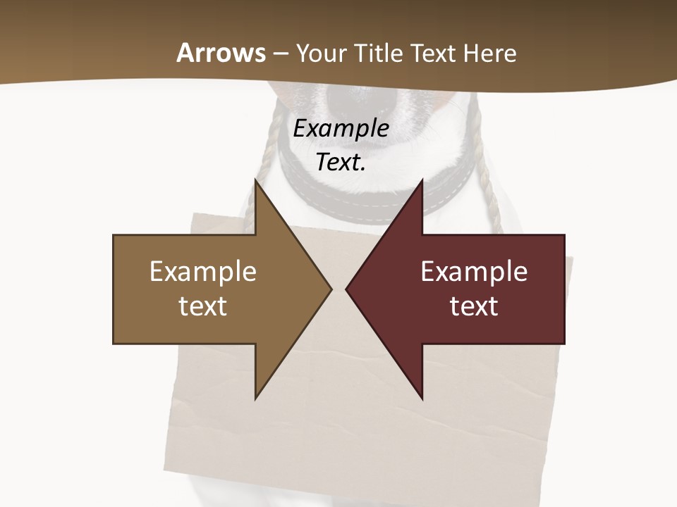 Brown Background Animal PowerPoint Template