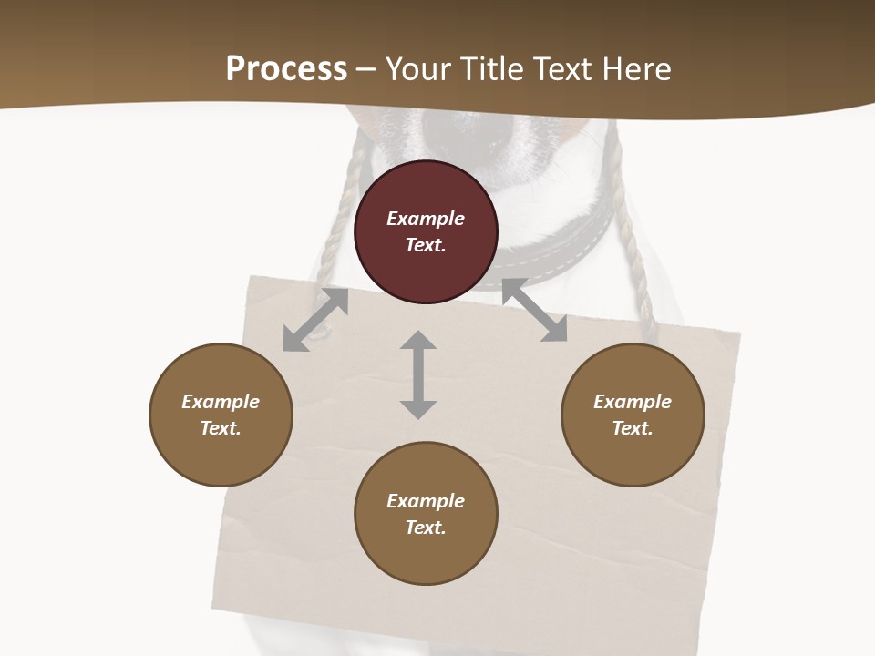 Brown Background Animal PowerPoint Template