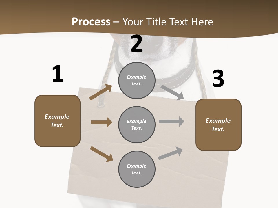 Brown Background Animal PowerPoint Template