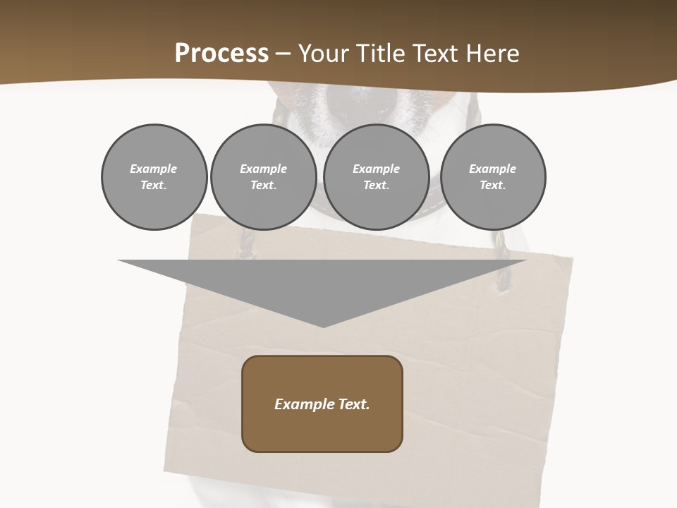 Brown Background Animal PowerPoint Template