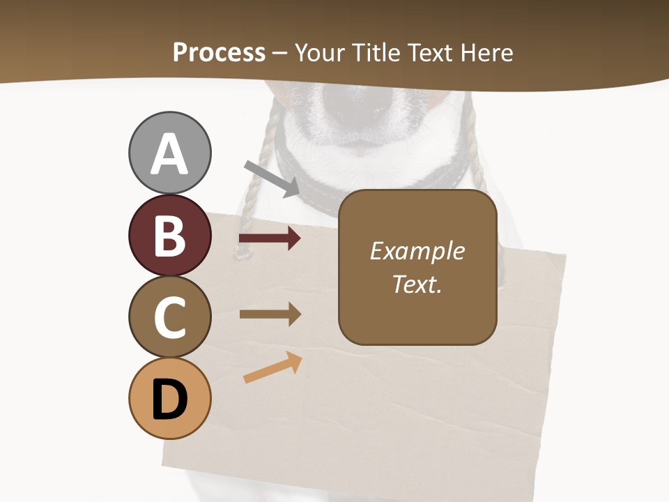 Brown Background Animal PowerPoint Template