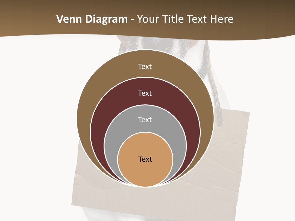 Brown Background Animal PowerPoint Template