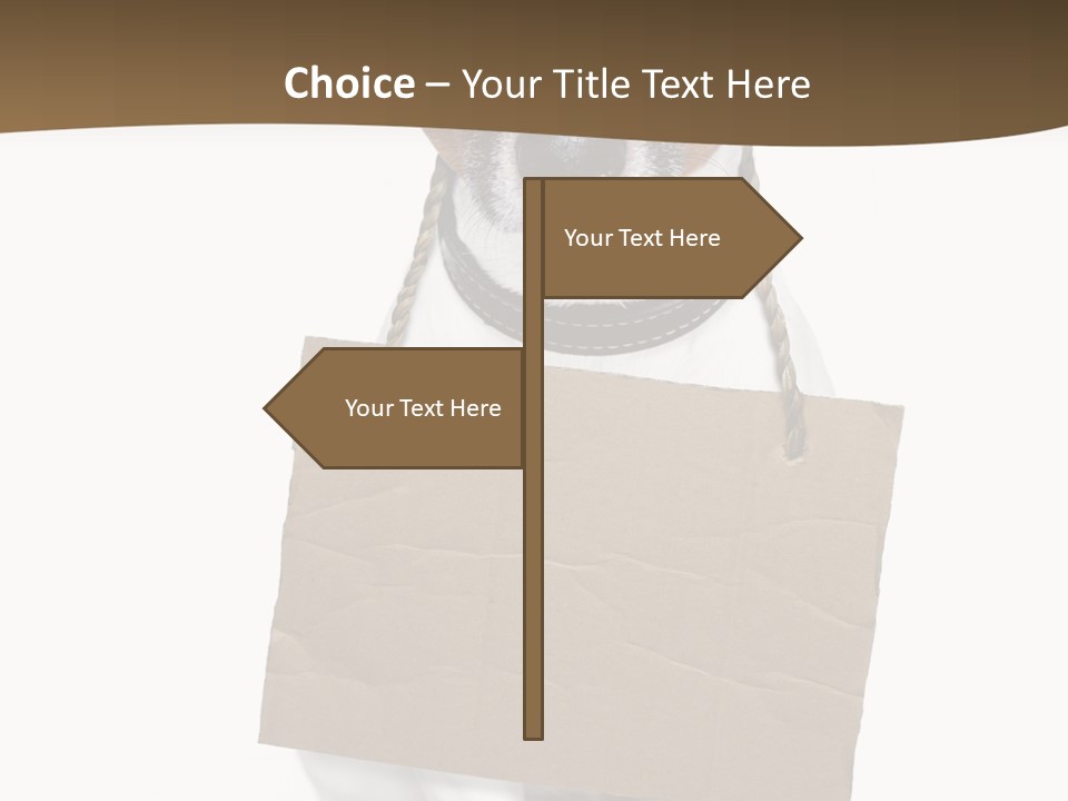 Brown Background Animal PowerPoint Template