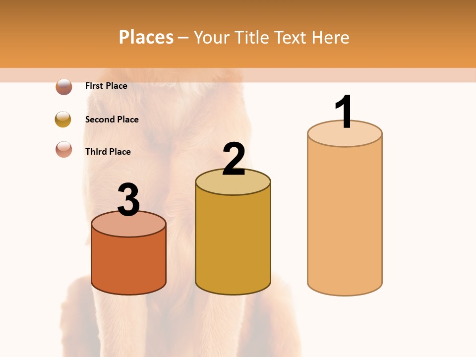 Retriever Golden Yellow PowerPoint Template