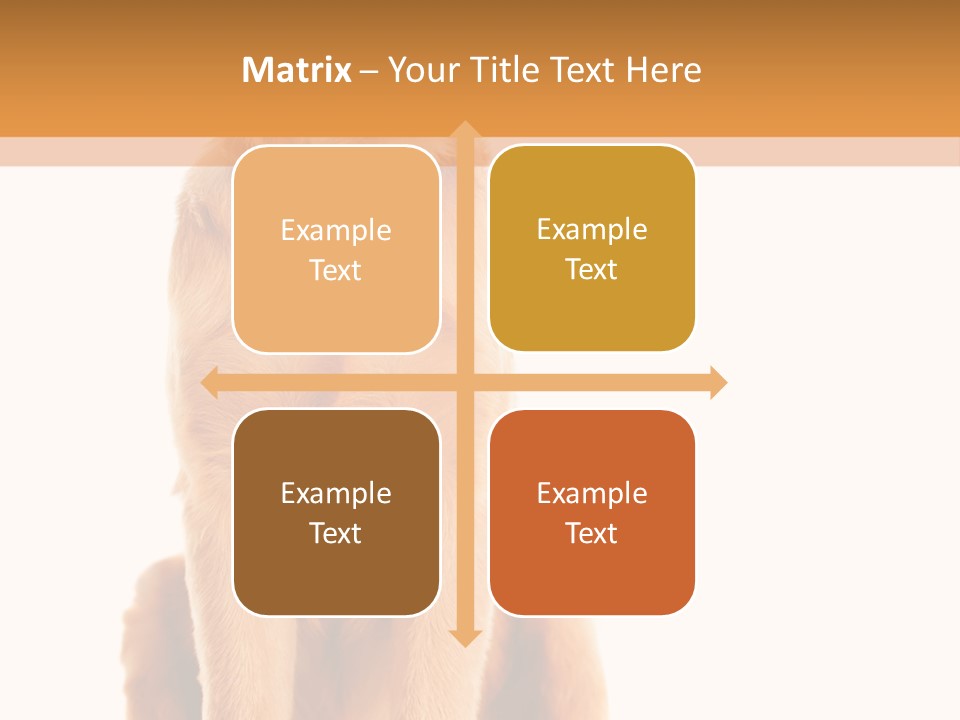 Retriever Golden Yellow PowerPoint Template
