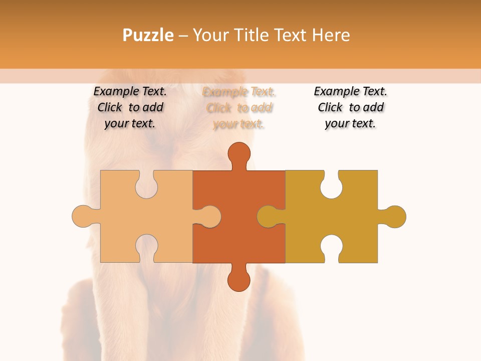 Retriever Golden Yellow PowerPoint Template