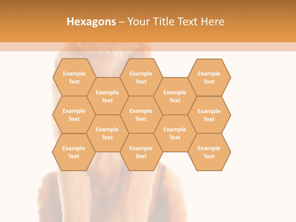 Retriever Golden Yellow PowerPoint Template