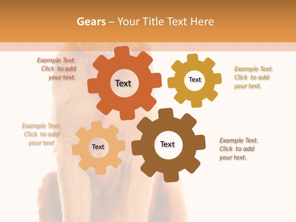 Retriever Golden Yellow PowerPoint Template