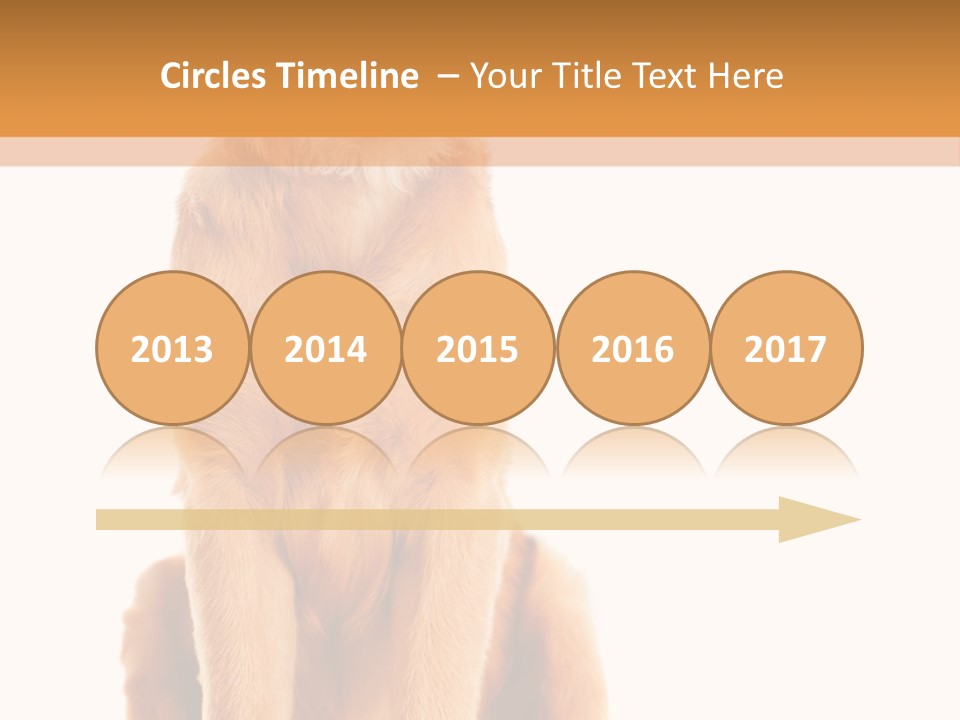 Retriever Golden Yellow PowerPoint Template