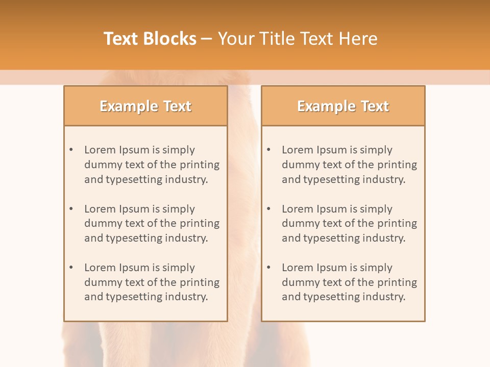 Retriever Golden Yellow PowerPoint Template