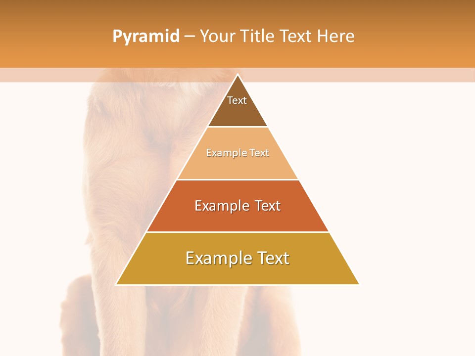 Retriever Golden Yellow PowerPoint Template