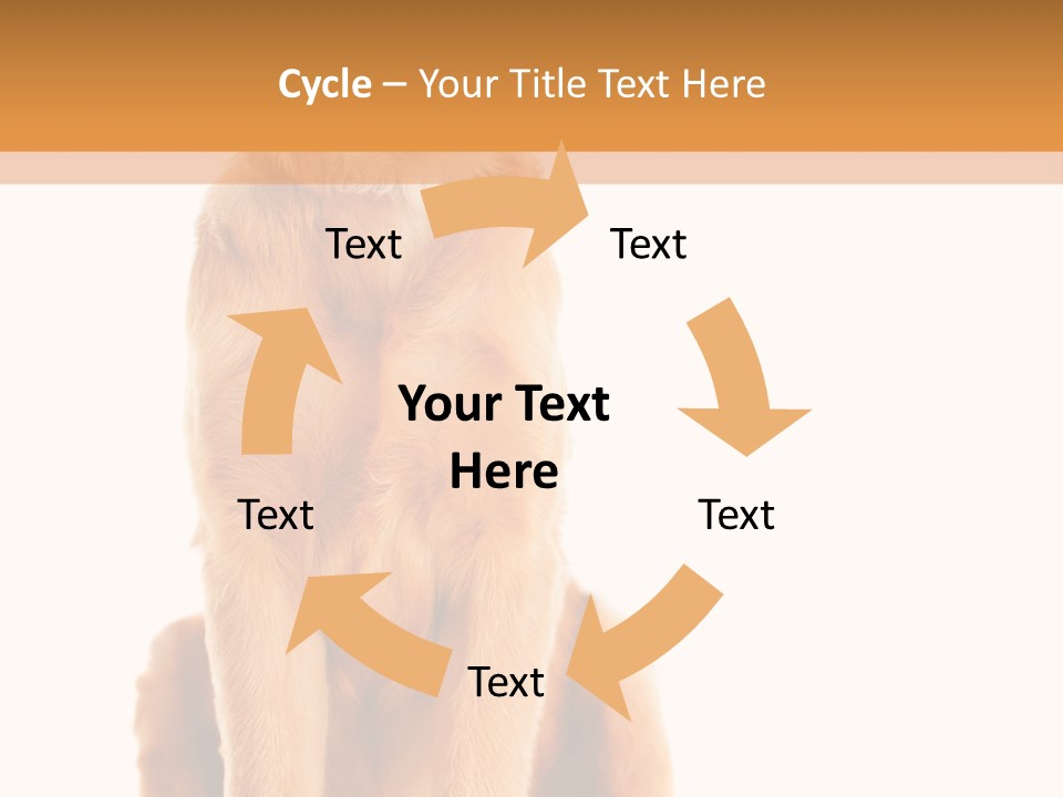 Retriever Golden Yellow PowerPoint Template