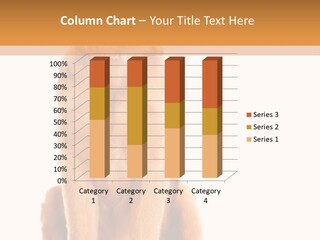 Retriever Golden Yellow PowerPoint Template