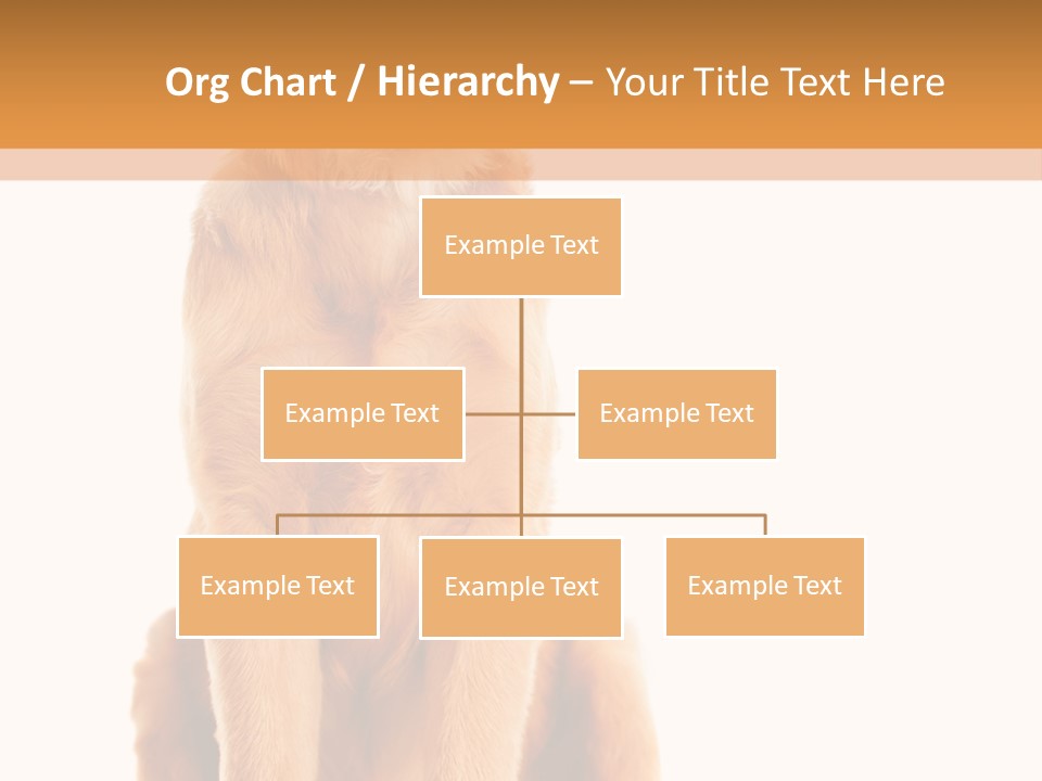 Retriever Golden Yellow PowerPoint Template