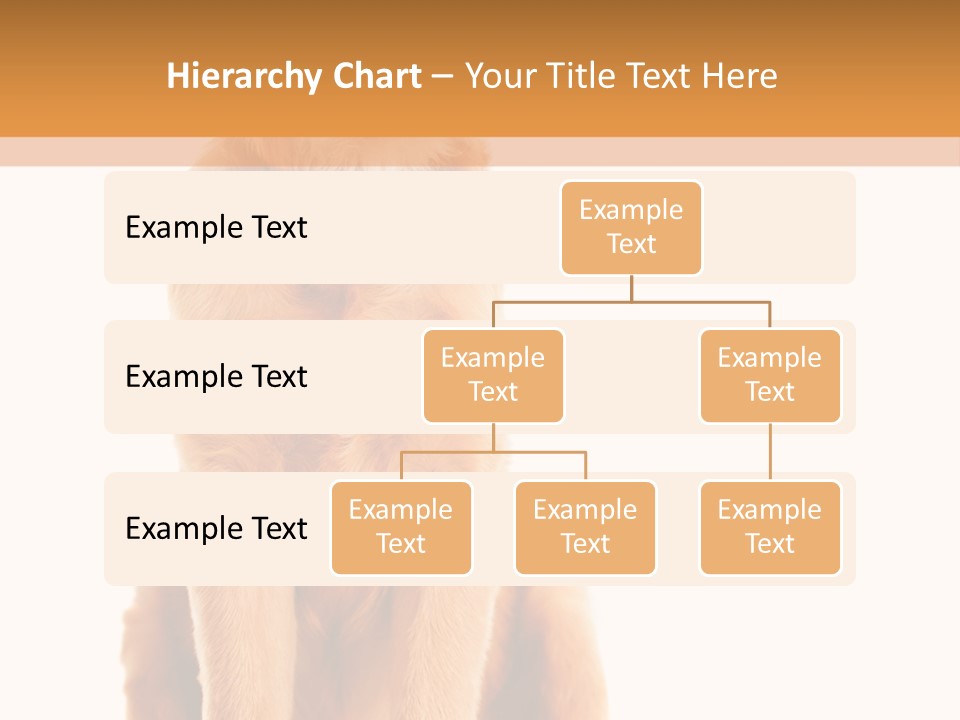 Retriever Golden Yellow PowerPoint Template