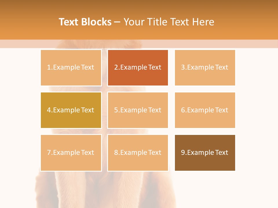 Retriever Golden Yellow PowerPoint Template