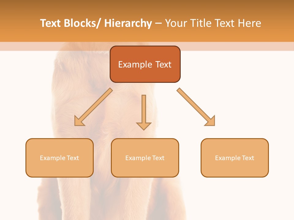 Retriever Golden Yellow PowerPoint Template