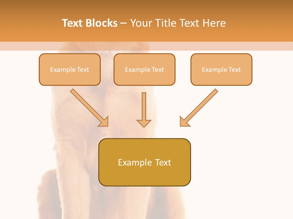 Retriever Golden Yellow PowerPoint Template