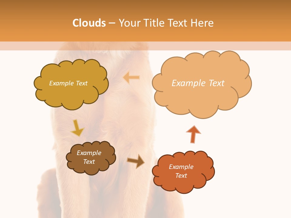 Retriever Golden Yellow PowerPoint Template