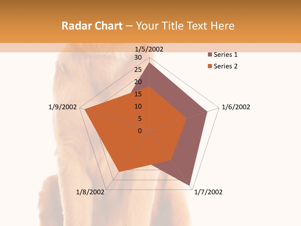 Retriever Golden Yellow PowerPoint Template