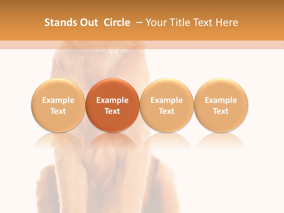 Retriever Golden Yellow PowerPoint Template