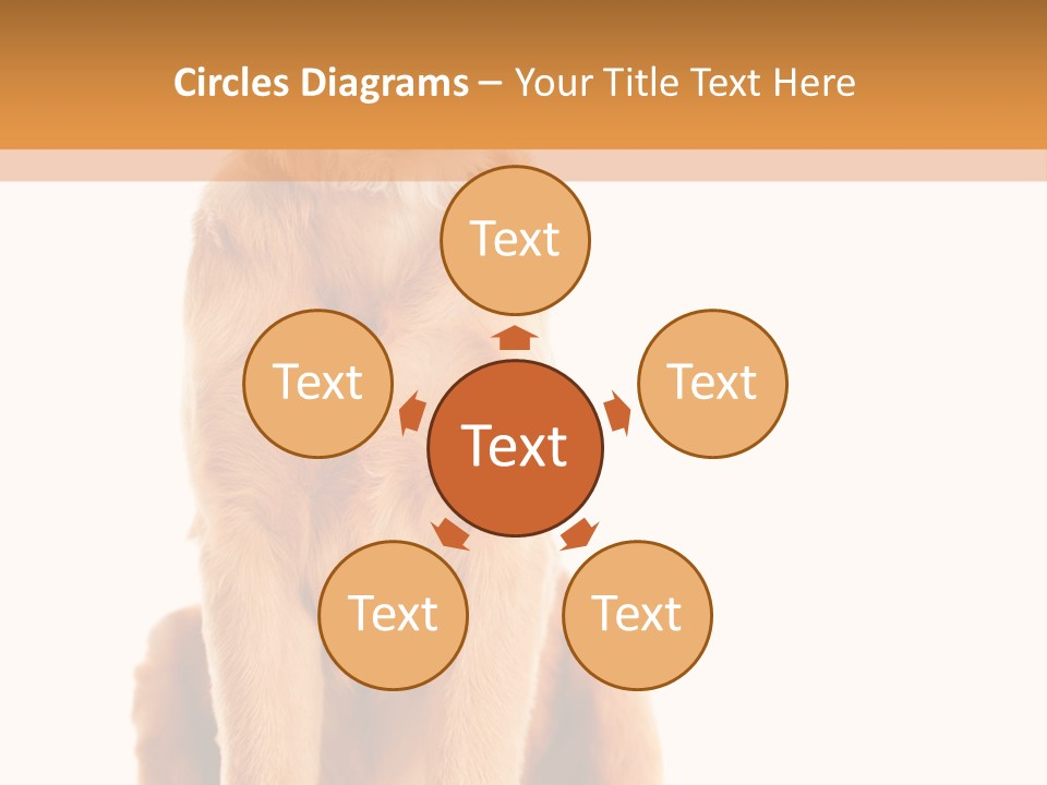 Retriever Golden Yellow PowerPoint Template